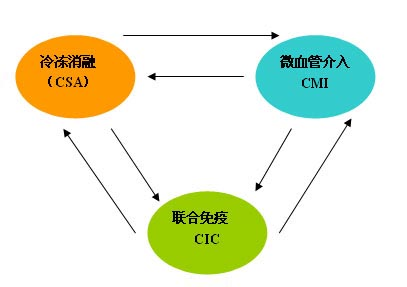 “CCC”模式治癌癥